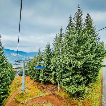 Pod Mravenecnikem Lodge Loučná nad Desnou