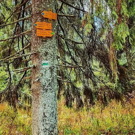 Hytte Pod Mravenecnikem Loučná nad Desnou