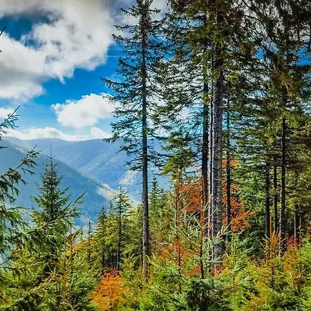Pod Mravenecnikem Loučná nad Desnou
