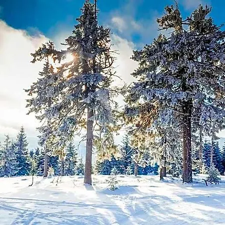 Pod Mravenečníkem Alojamento de Turismo Selvagem