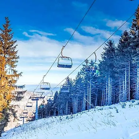 Pod Mravenečníkem Alojamento de Turismo Selvagem Loučná nad Desnou