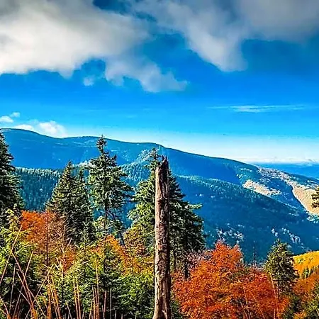 Pod Mravenečníkem Alojamento de Turismo Selvagem Loučná nad Desnou