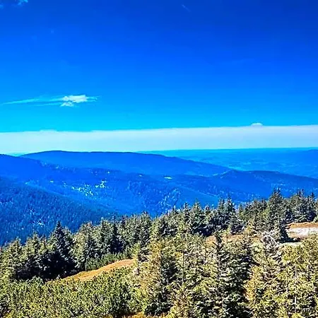 Pod Mravenečníkem Alojamento de Turismo Selvagem Loučná nad Desnou