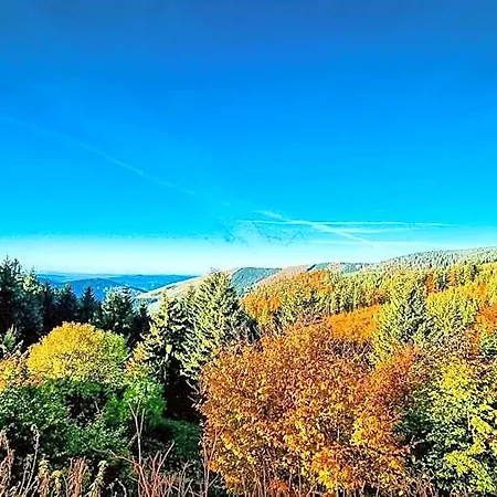 Pod Mravenečníkem Loučná nad Desnou