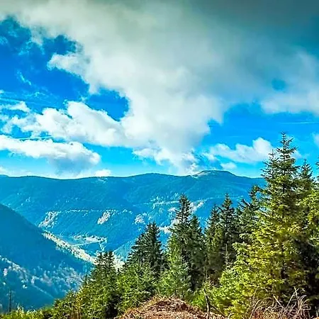 Pod Mravenečníkem Alojamento de Turismo Selvagem *