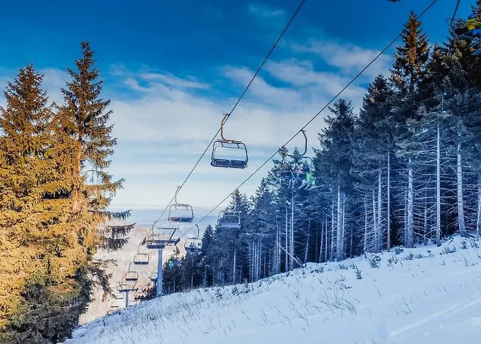 Pod Mravenečníkem * Loučná nad Desnou