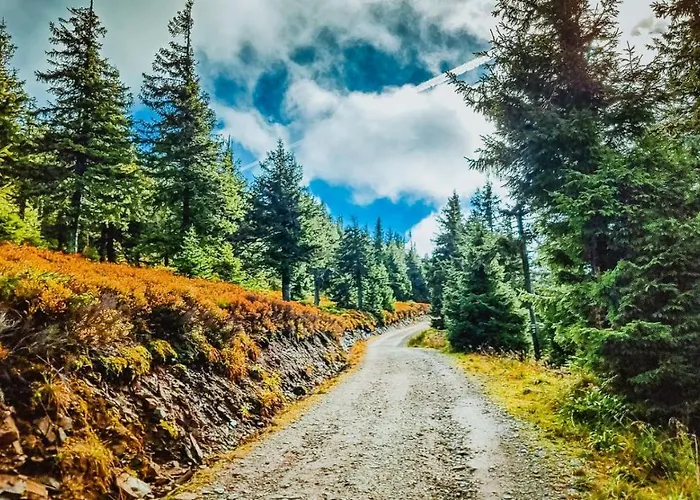 Pod Mravenečníkem Loučná nad Desnou