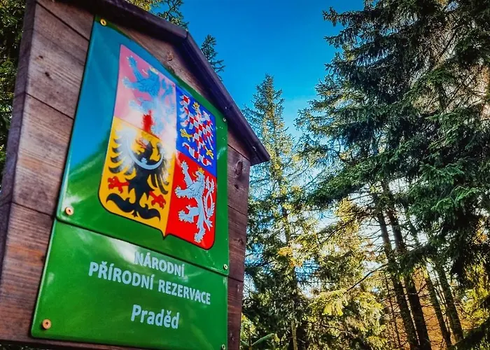 Chata Pod Mravenečníkem Loučná nad Desnou
