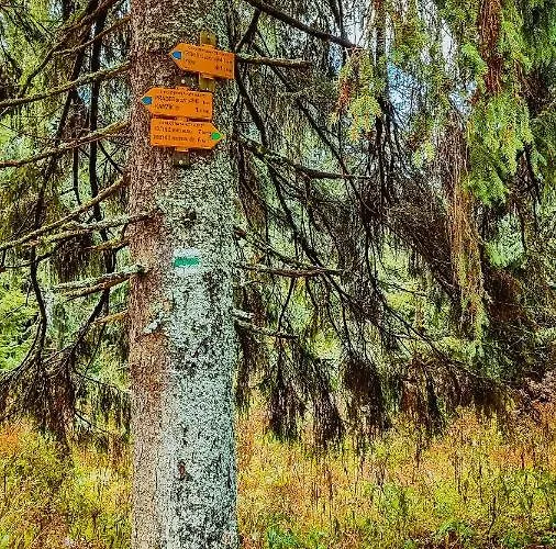 Gerendaház Pod Mravenecnikem Loučná nad Desnou