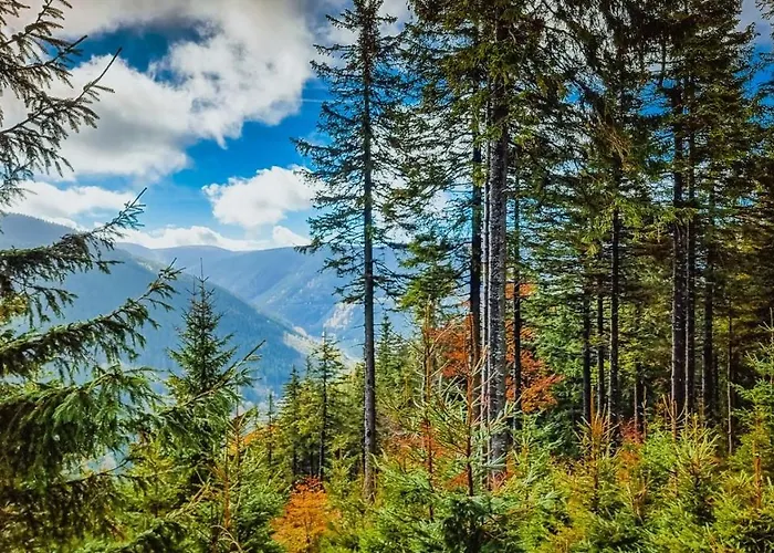 Pod Mravenečníkem Loučná nad Desnou
